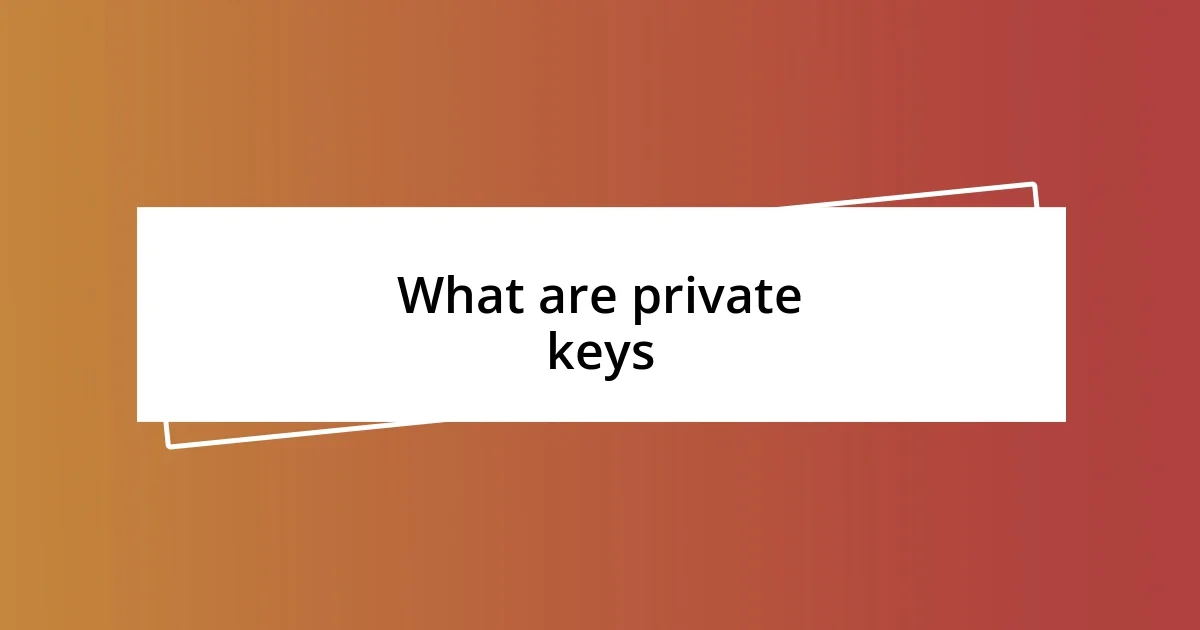 What are private keys